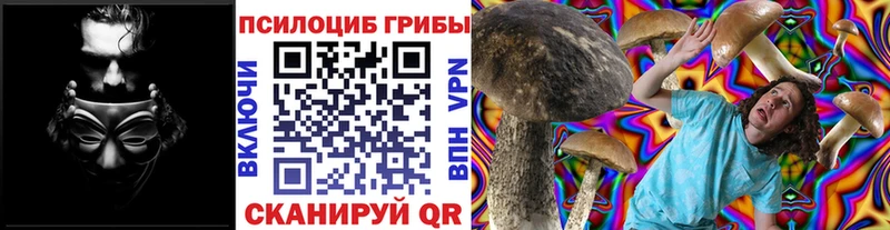 omg ССЫЛКА  Крымск  Галлюциногенные грибы MAGIC MUSHROOMS 